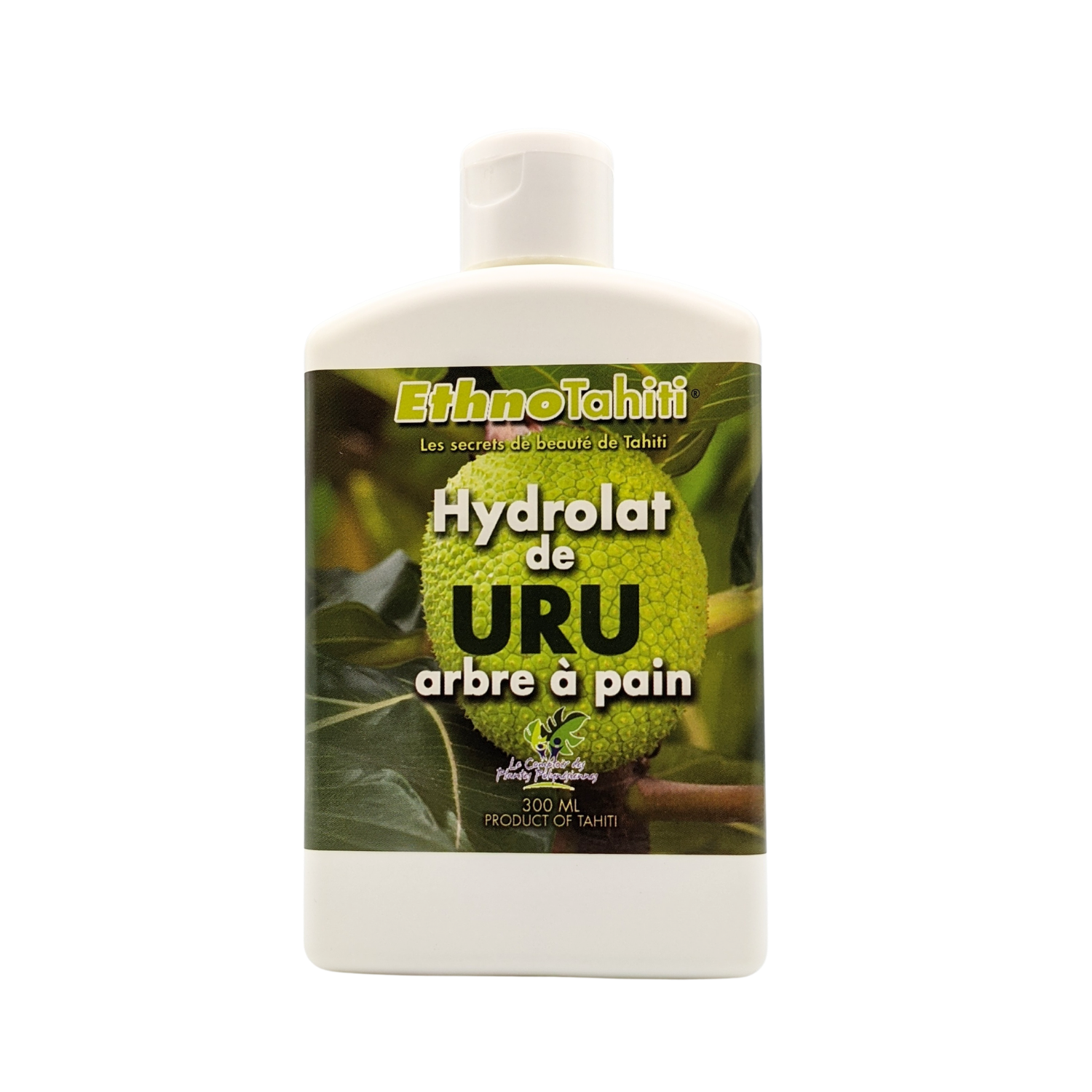 Hydrolat de Uru (arbre à pain)