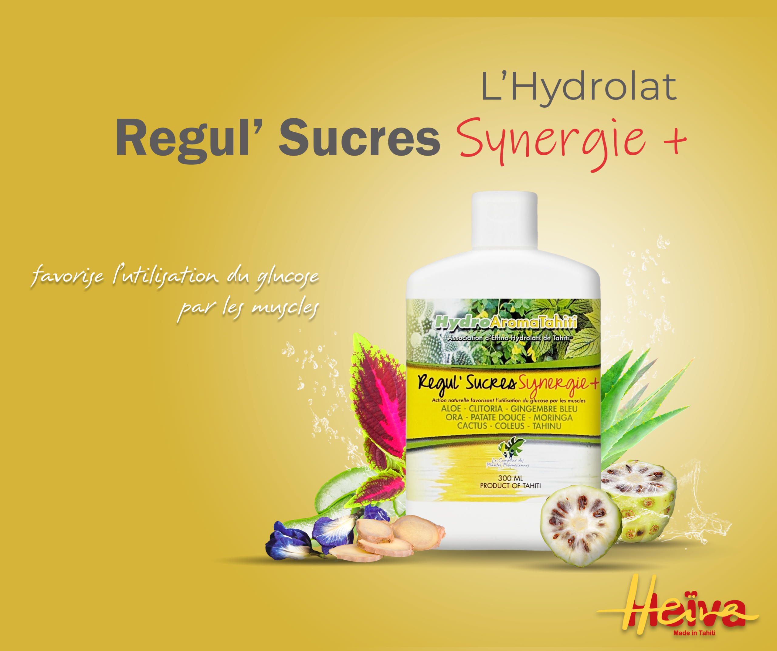 Hydrolat Régul' Sucres Synergie + – Image 5