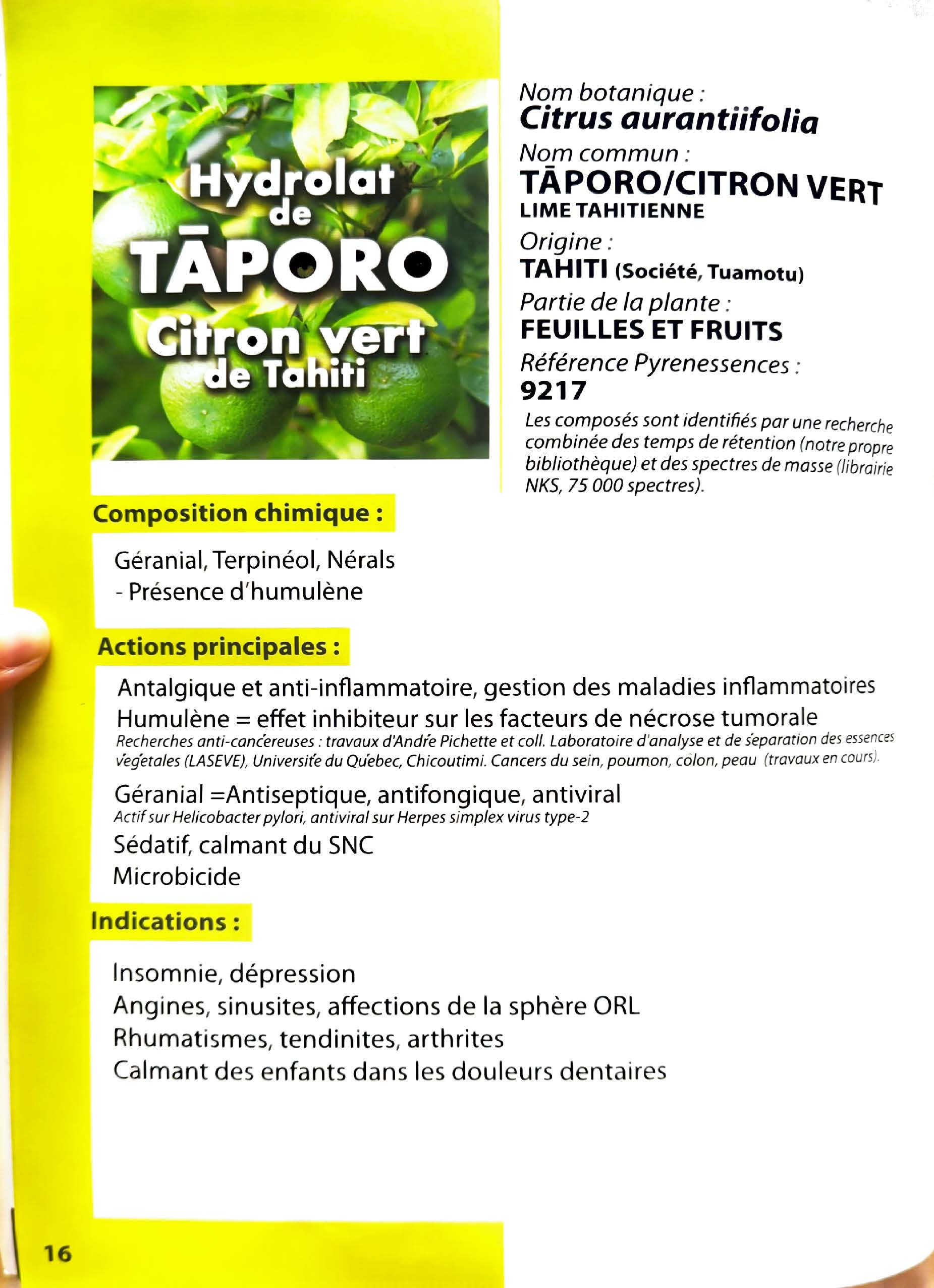 Hydrolat de Taporo (citron) – Image 6