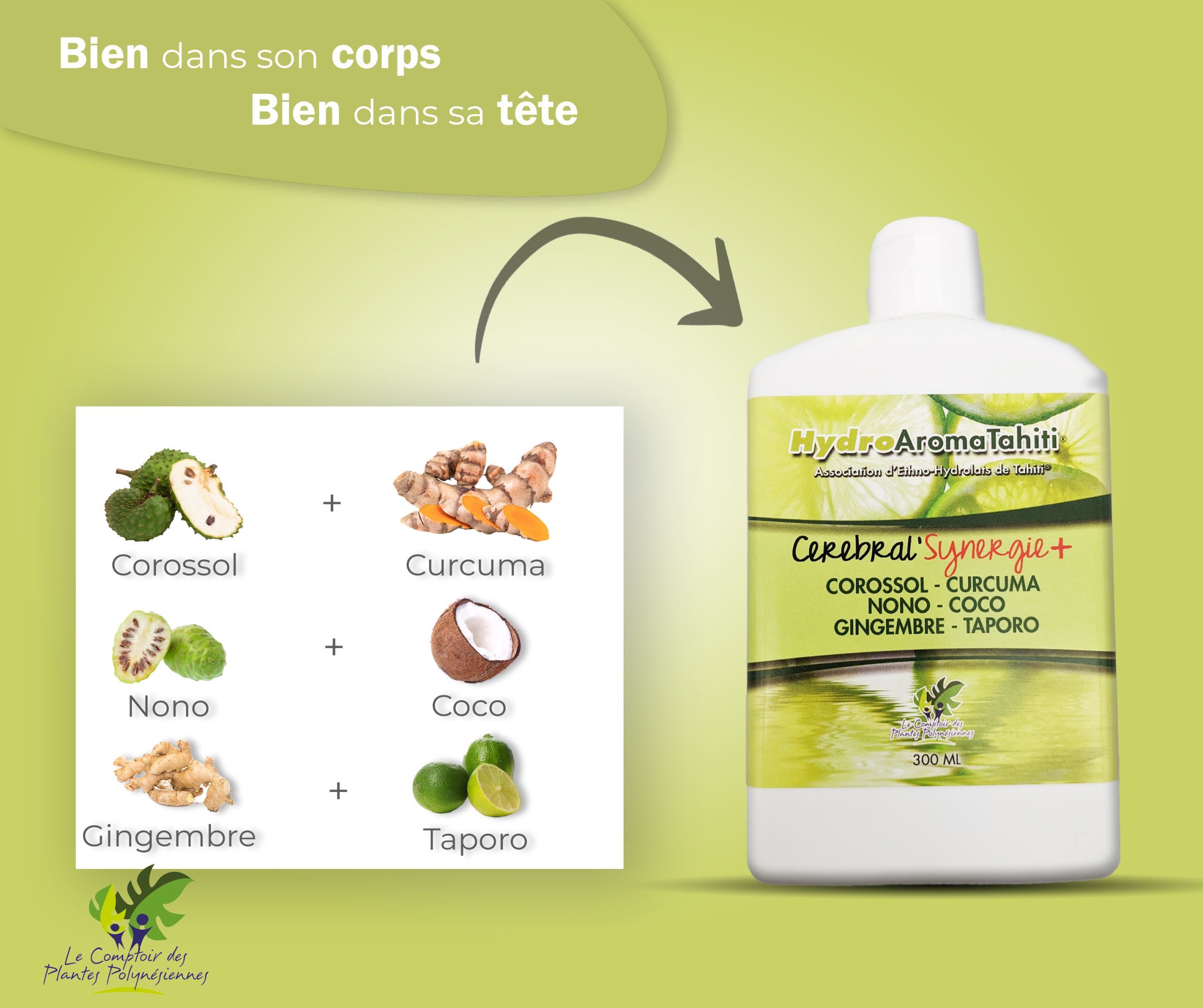 Hydrolat Cérébral' Synergie + – Image 5