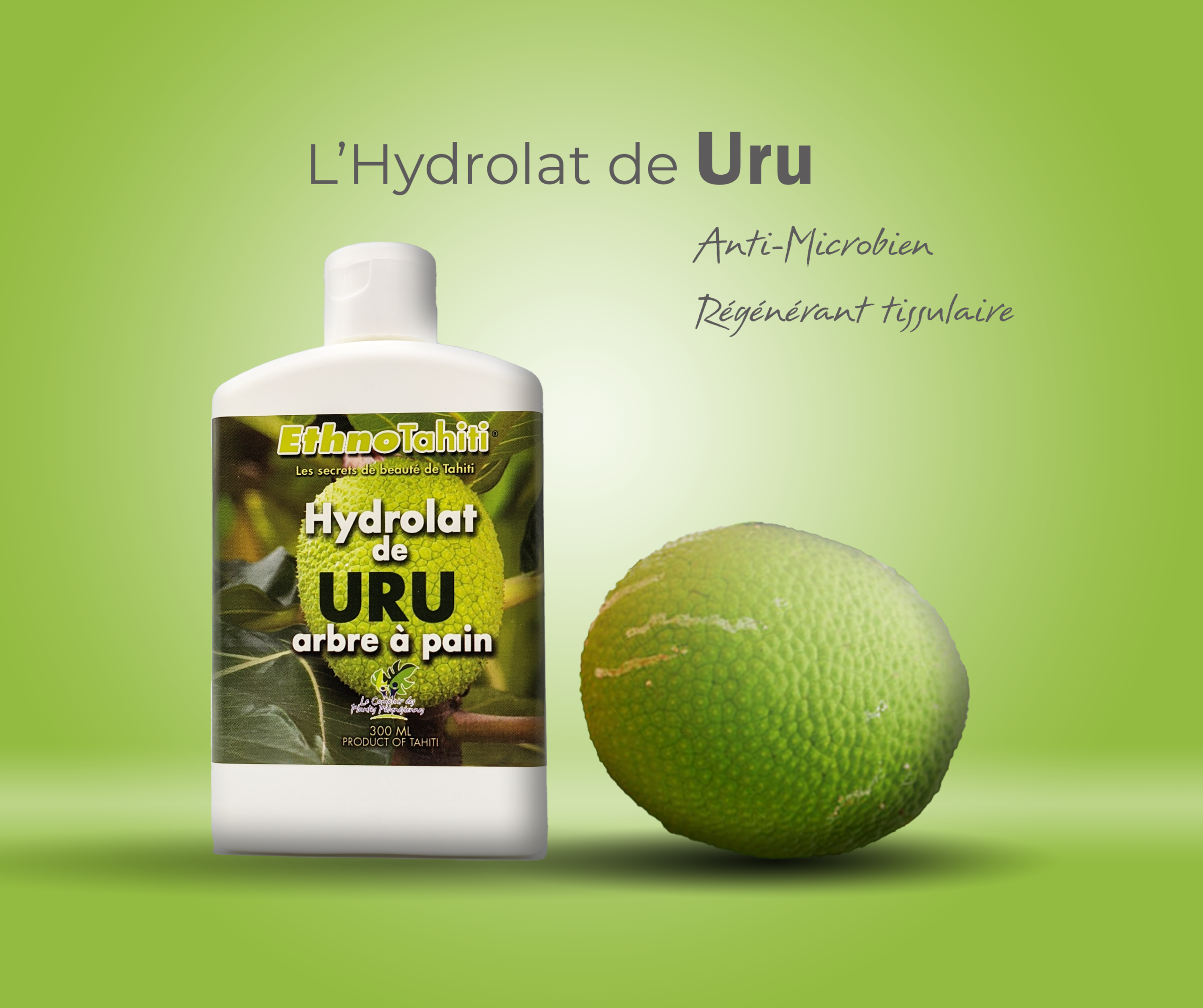 Hydrolat de Uru (arbre à pain) – Image 5